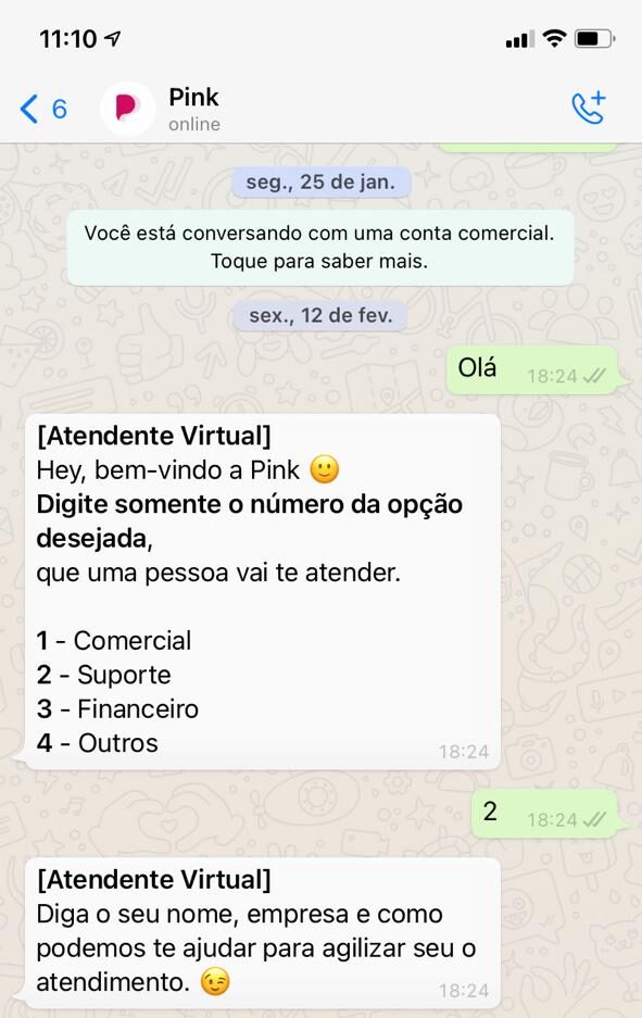 Print bot de triagem - atendimento ao cliente