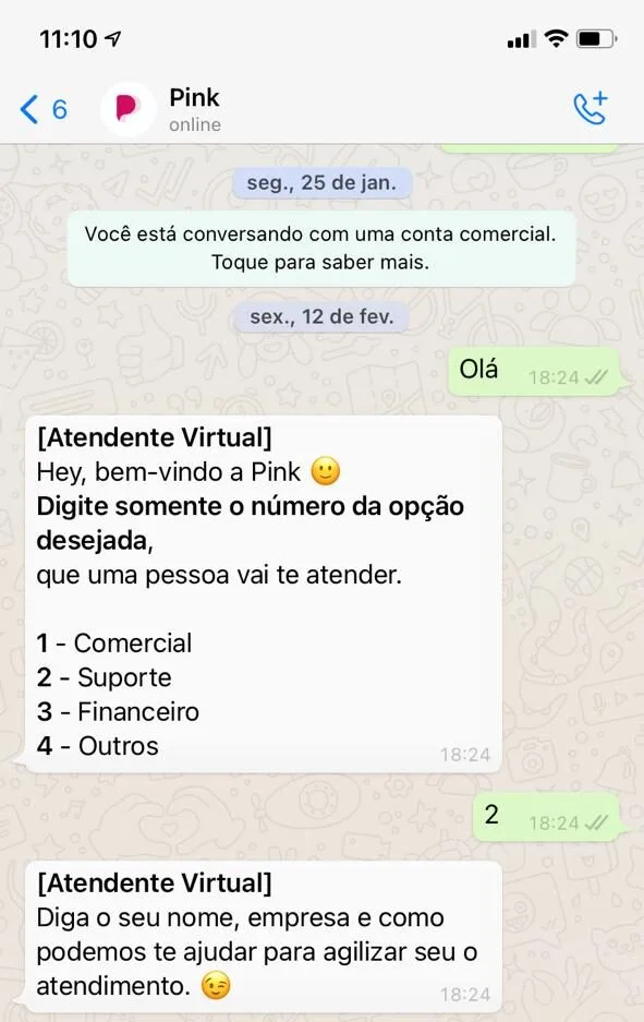 Print bot de triagem - atendimento ao cliente
